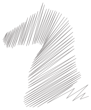 Strona główna - Końska Sprawa